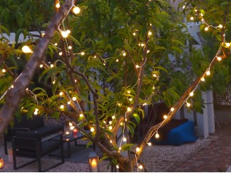 Guirlande lumineuse elume extérieure 80 perles blanches 8m