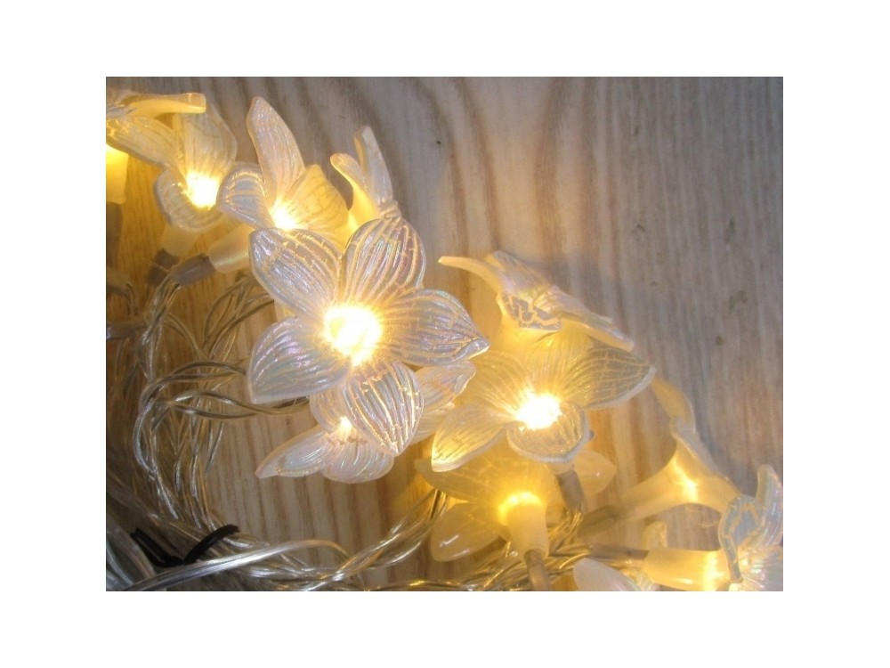 Guirlande lumineuse nomade 15 fleurs blanches