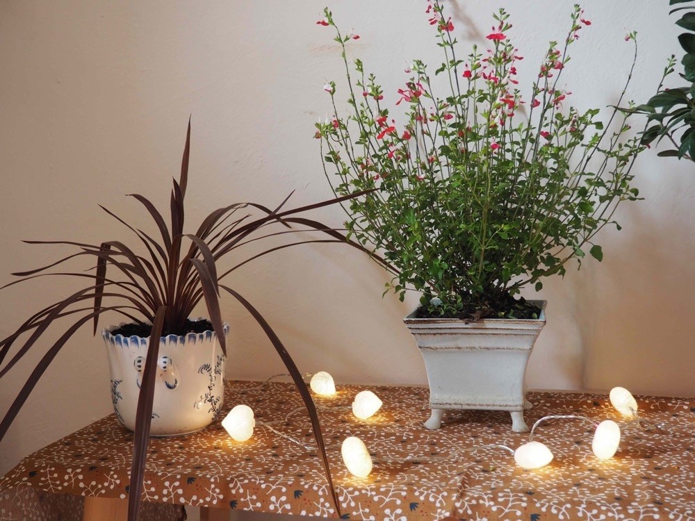guirlande lumineuse intérieure elume 15 coeurs coton USB LED blanc chaud