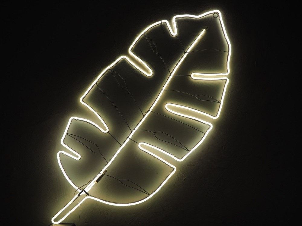 Leaf - Décor Lumineux de longueur 114cm  néon flexible blanc chaud