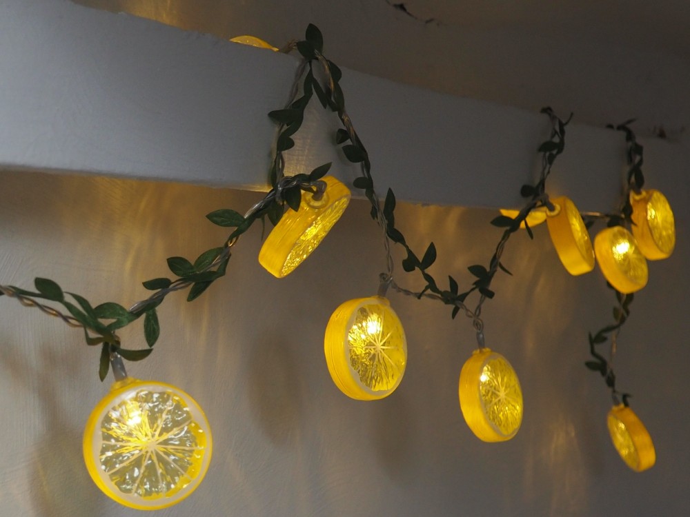 Citrus - Guirlande lumineuse décorative USB LED blanc chaud
