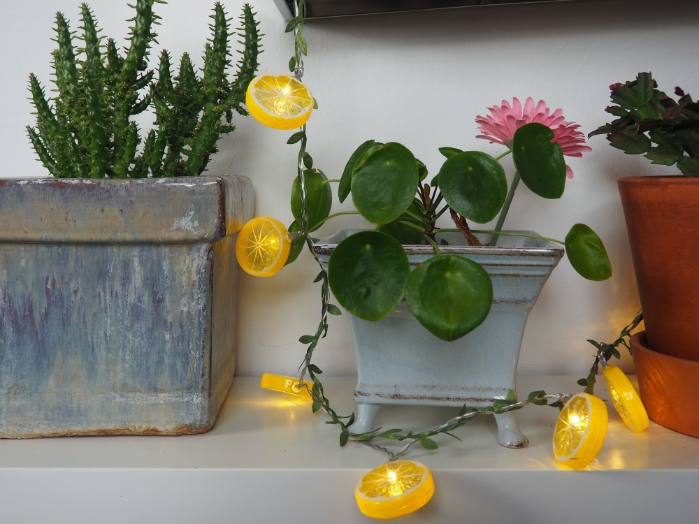 Citrus - Guirlande lumineuse décorative USB LED blanc chaud