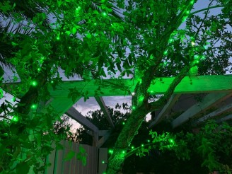 Green - Guirlande lumineuse extérieure 17m, 240 LED vertes et blanc flash