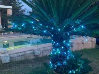 Guirlande lumineuse...