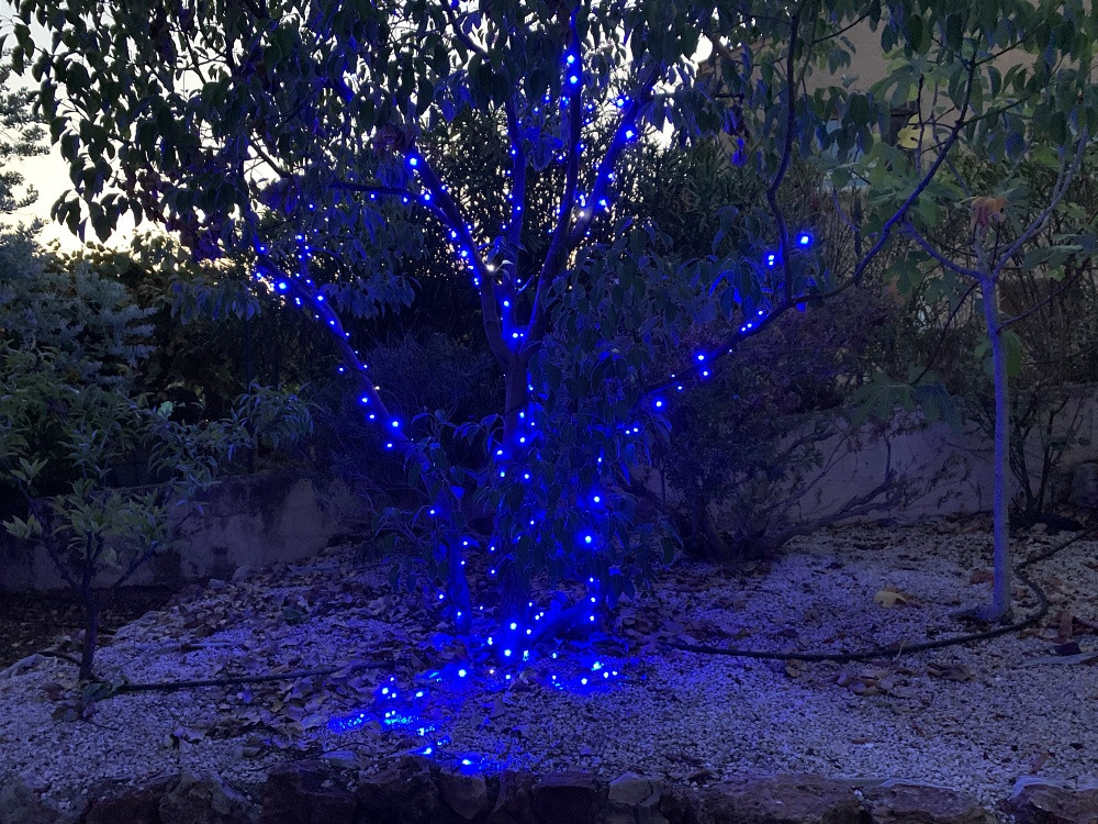Guirlande Lumineuse LED Bleue 10 Mètres, 80 LED à Piles - Pour Intérieur Et Extérieur, Noël, Halloween