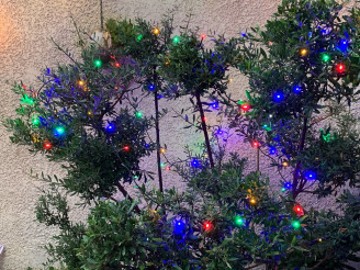 Guirlande lumineuse de Noël...
