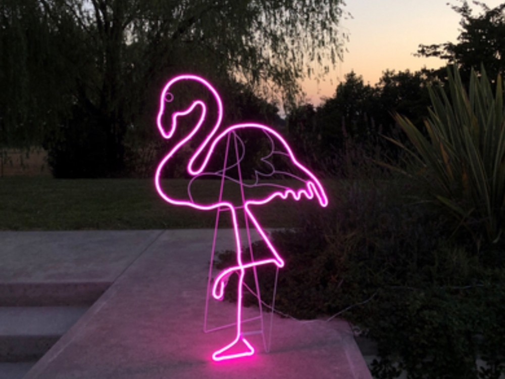 Motif lumineux  Flamand Rose H115 cm, pour extérieur, Neon flexible LED rose