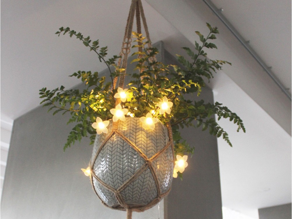 Guirlande lumineuse elume intérieure fleur primula piece a vivre
