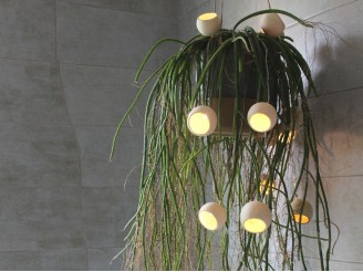 Guirlande lumineuse elume intérieure agrumes séchés salle de bain