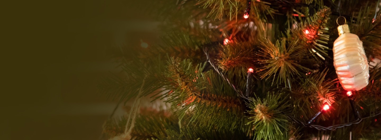 Guirlande Lumineuse Solaire Multicolore Pour Jardin Ou Sapin - Cuivre - Neuf