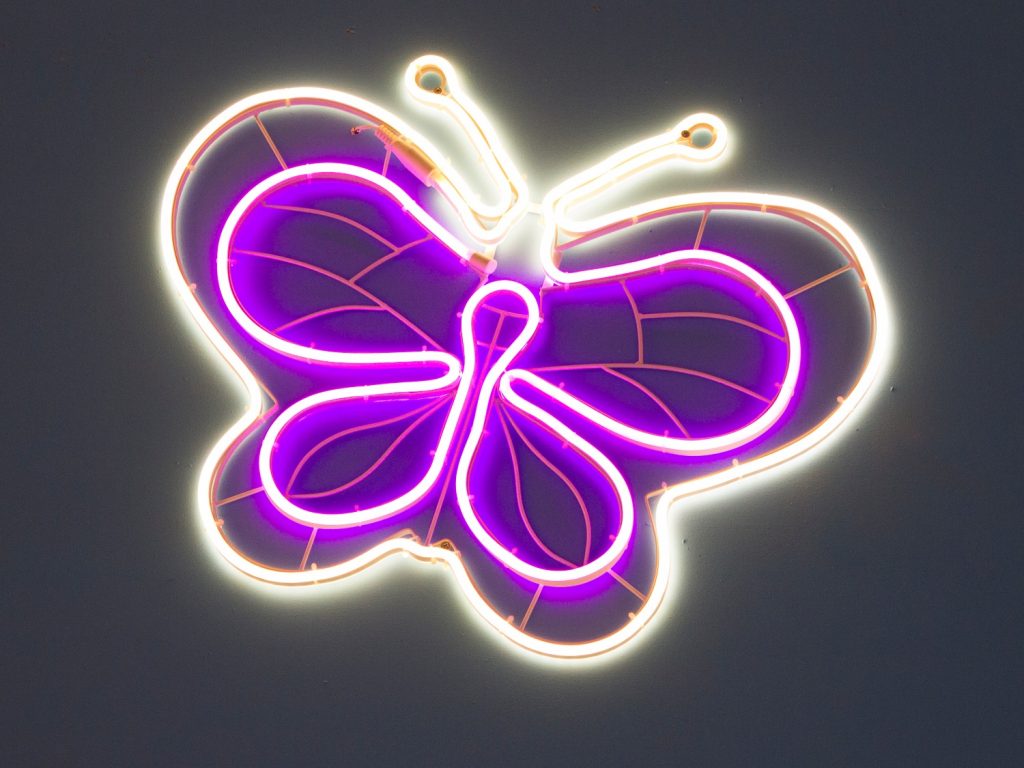 Papillon - Décor lumineux 57 x 45 cm, Néon Flex LED Rose & Blanc chaud