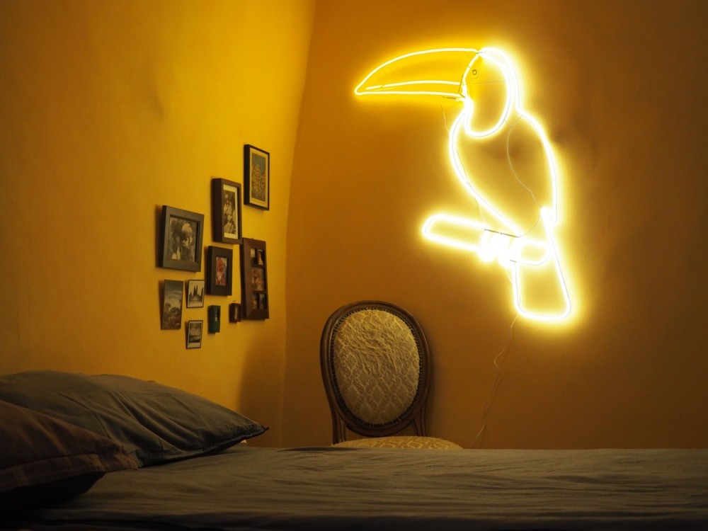 Motif lumineux extérieur Toucan 95cm, LED néon flex 3 coloris